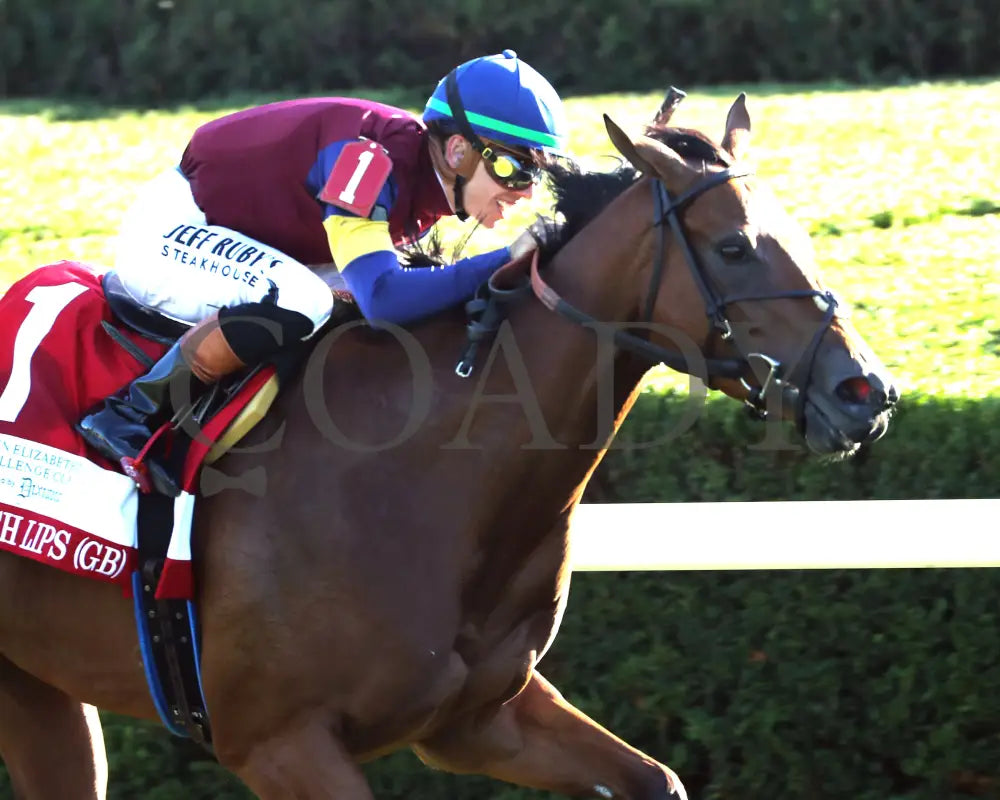 LUSH LIPS - The Queen Elizabeth ll Challenge Cup G1 - 42nd Running - 10-11-25 - R09 - KEE - Finish 03 Keeneland