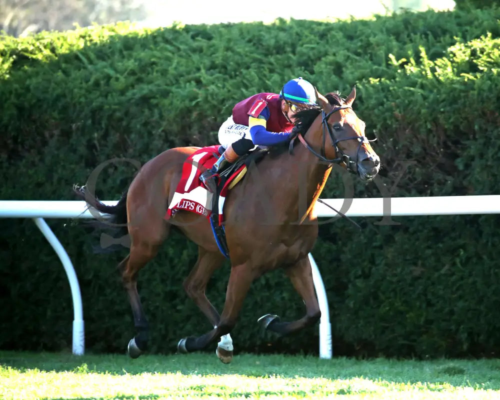 LUSH LIPS - The Queen Elizabeth ll Challenge Cup G1 - 42nd Running - 10-11-25 - R09 - KEE - Finish 04 Keeneland