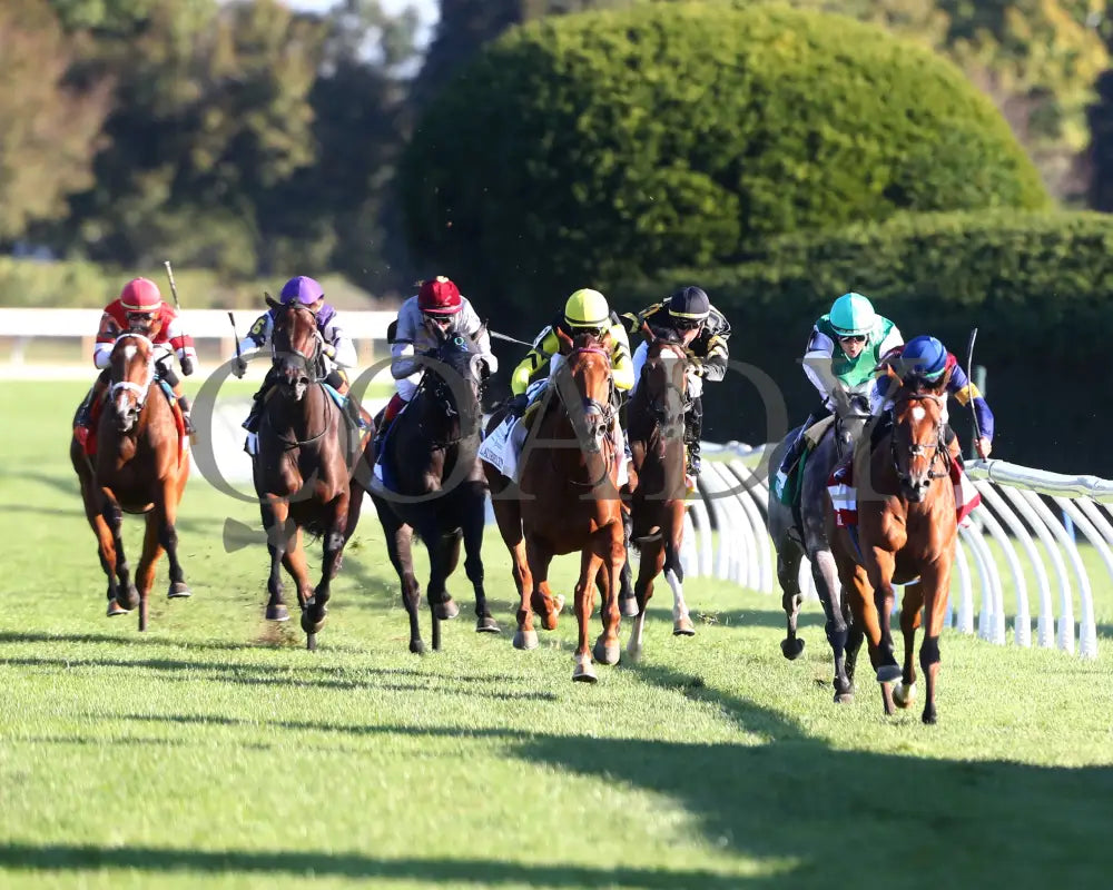 LUSH LIPS - The Queen Elizabeth ll Challenge Cup G1 - 42nd Running - 10-11-25 - R09 - KEE - Inside Finish 01 Keeneland