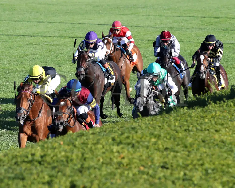 LUSH LIPS - The Queen Elizabeth ll Challenge Cup G1 - 42nd Running - 10-11-25 - R09 - KEE - Inside Finish 02 Keeneland