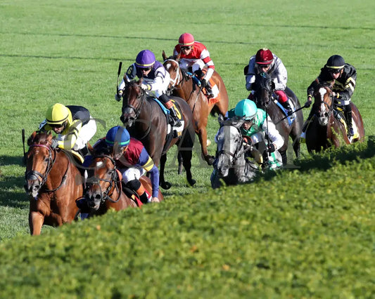 LUSH LIPS - The Queen Elizabeth ll Challenge Cup G1 - 42nd Running - 10-11-25 - R09 - KEE - Inside Finish 02 Keeneland
