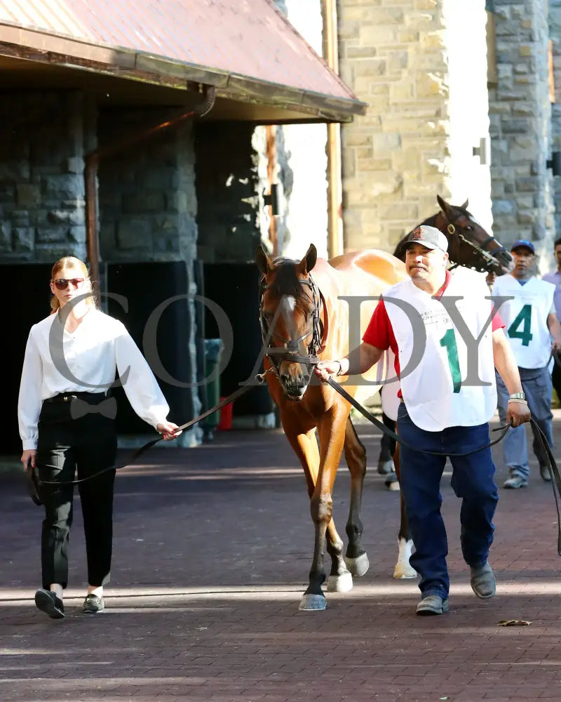 LUSH LIPS - The Queen Elizabeth ll Challenge Cup G1 - 42nd Running - 10-11-25 - R09 - KEE - Paddock 02 Keeneland