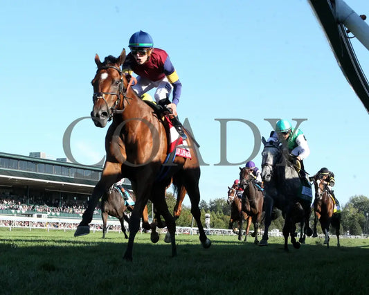 LUSH LIPS - The Queen Elizabeth ll Challenge Cup G1 - 42nd Running - 10-11-25 - R09 - KEE - Under Rail 01 Keeneland