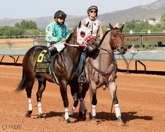 LUXURIE - Mountain Top New Mexico Bred QH Futurity G2 - 06-15-25 - R10 - Ruidoso Downs - Post Parade - Victoria Salazar