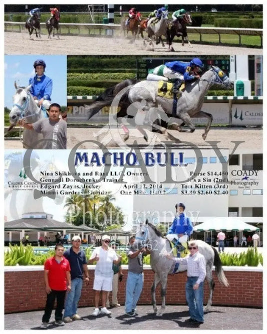 Macho Bull - 041214 Race 02 Crc Calder Course