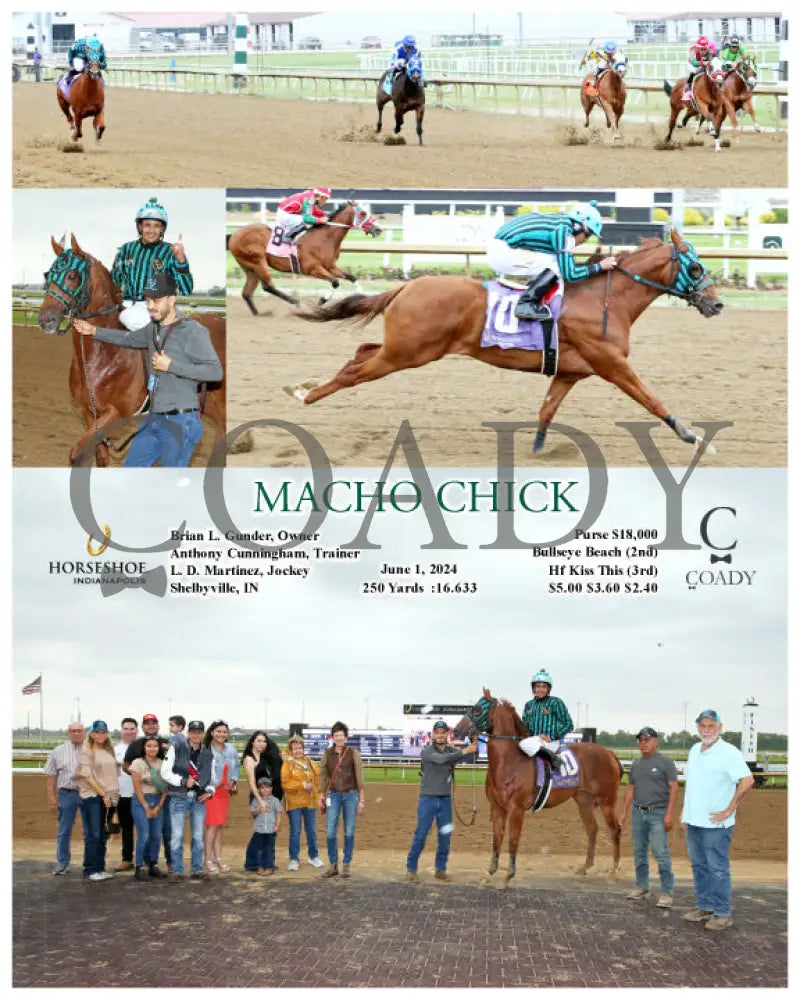 Macho Chick - 06-01-24 R08 Ind Indiana Grand