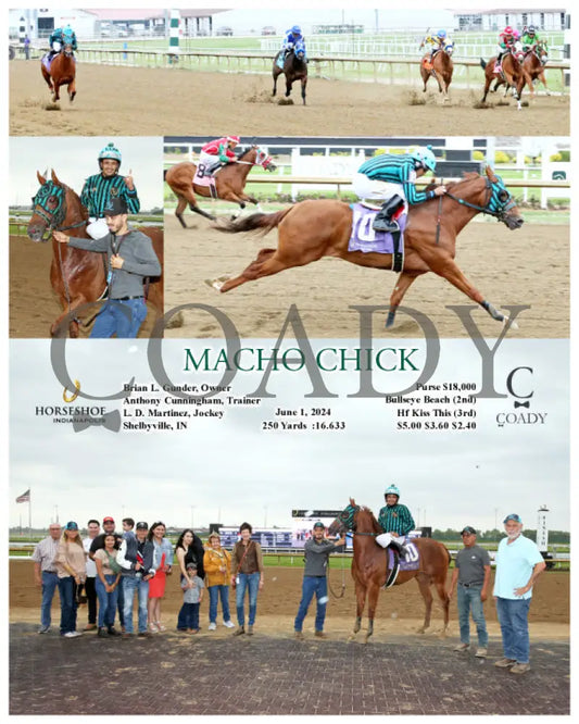 Macho Chick - 06-01-24 R08 Ind Indiana Grand