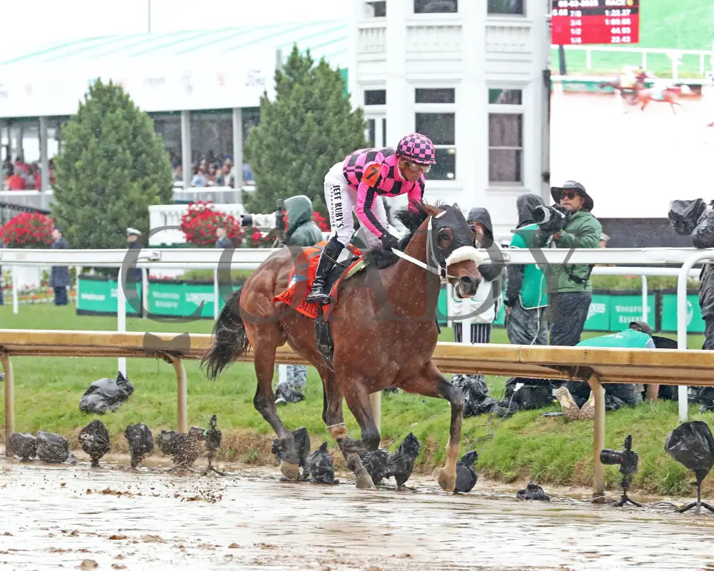 MACHO MUSIC - The Pat Day Mile G2 - 101st Running - 05-03-25 - R06 - CD - Celebration 01 Churchill Downs