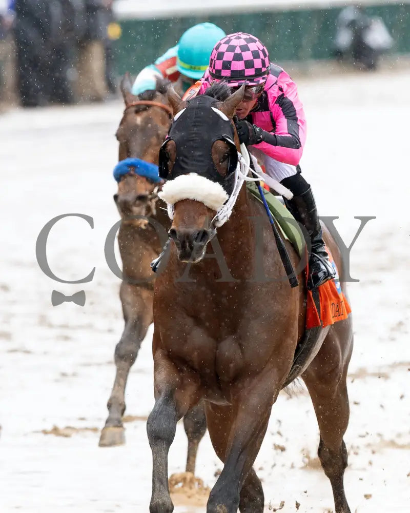MACHO MUSIC - The Pat Day Mile G2 - 101st Running - 05-03-25 - R06 - CD - Inside Finish 02 Churchill Downs