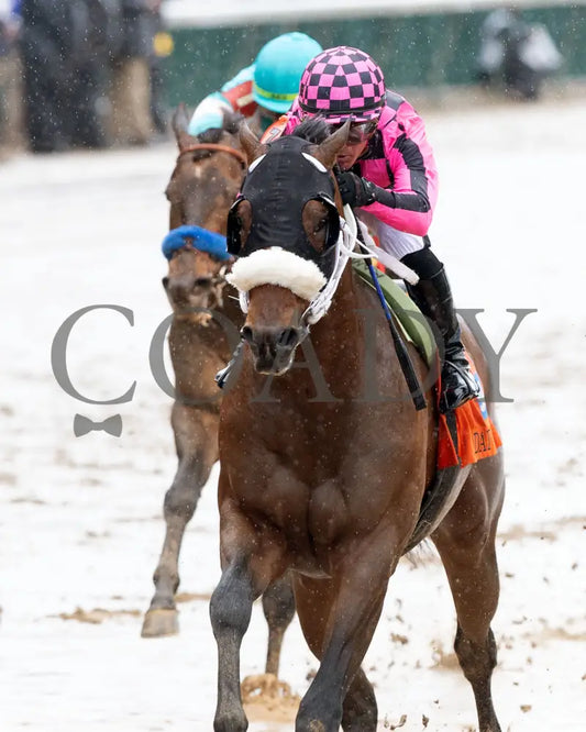MACHO MUSIC - The Pat Day Mile G2 - 101st Running - 05-03-25 - R06 - CD - Inside Finish 02 Churchill Downs