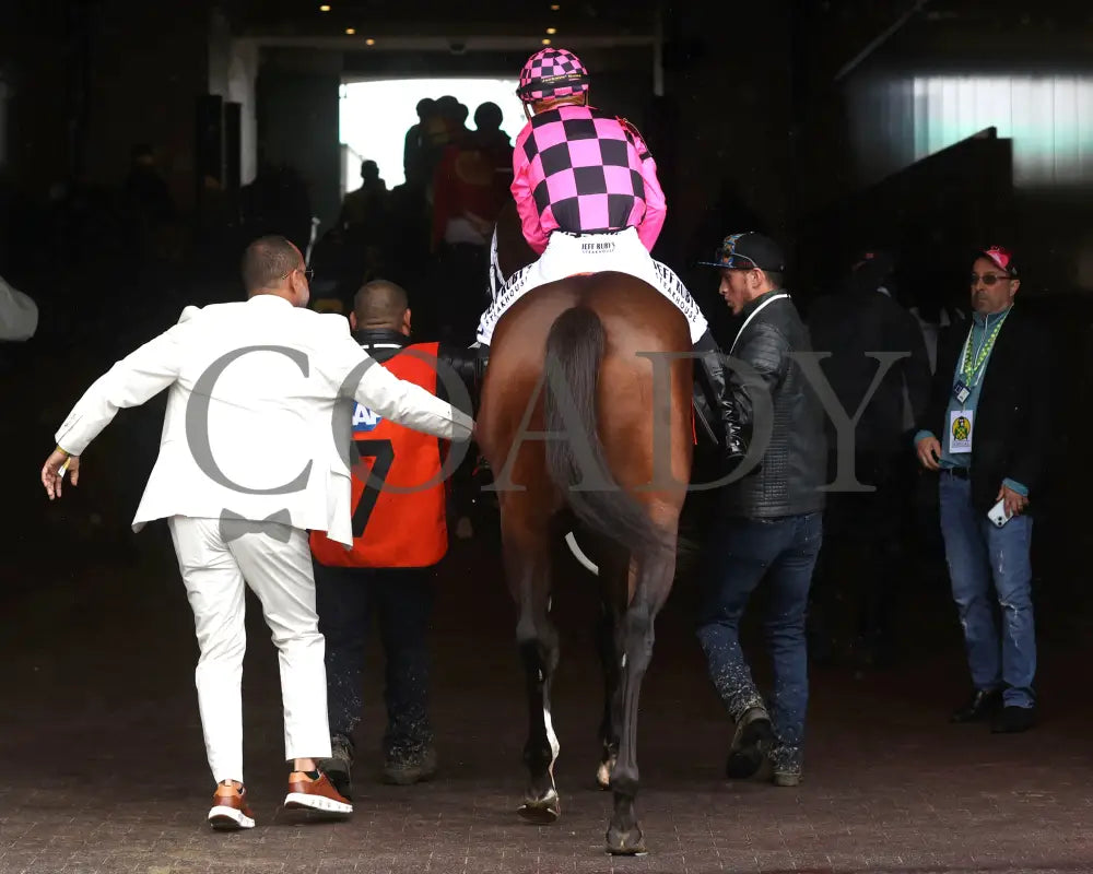 MACHO MUSIC - The Pat Day Mile G2 - 101st Running - 05-03-25 - R06 - CD - Paddock 01 Churchill Downs