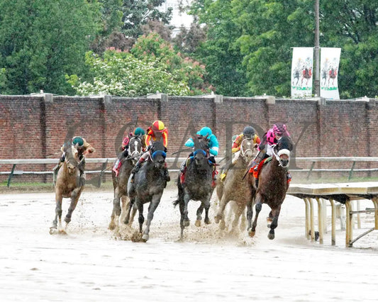 MACHO MUSIC - The Pat Day Mile G2 - 101st Running - 05-03-25 - R06 - CD - Turn 01 Churchill Downs