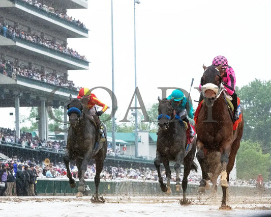 MACHO MUSIC - The Pat Day Mile G2 - 101st Running - 05-03-25 - R06 - CD - Under Rail 02 Churchill Downs