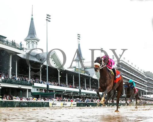 MACHO MUSIC - The Pat Day Mile G2 - 101st Running - 05-03-25 - R06 - CD - Under Rail 03 Churchill Downs
