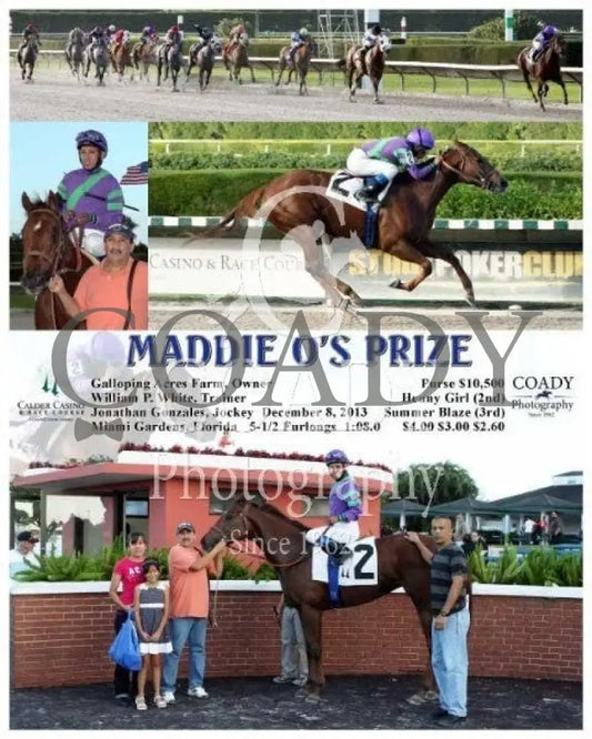 Maddie O’s Prize - 120813 Race 08 Crc Calder Course