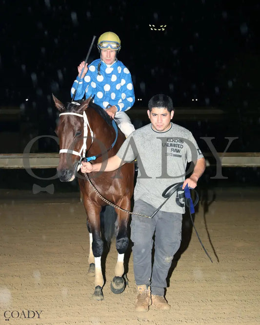 MAGGIE’S GIRL - West Virginia 1/ST BET Breeders Classic Stakes - 10-11-25 - R10 - CT - Come Back 01 Hollywood Casino at