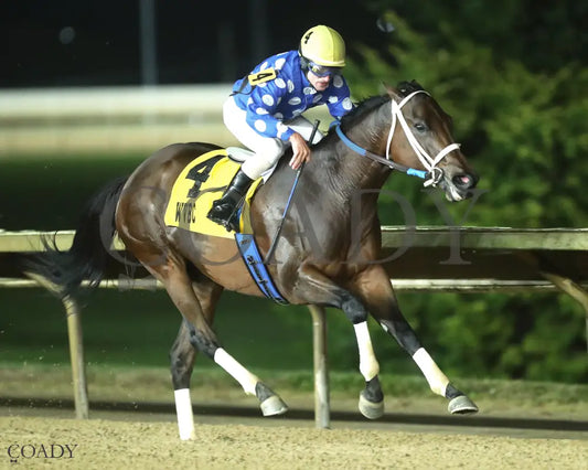 MAGGIE’S GIRL - West Virginia 1/ST BET Breeders Classic Stakes - 10-11-25 - R10 - CT - Finish 03 Hollywood Casino at