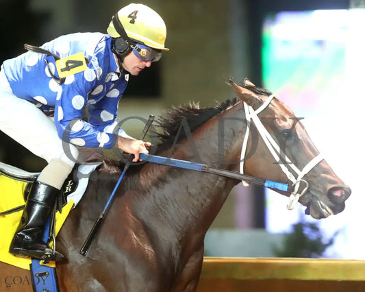 MAGGIE’S GIRL - West Virginia 1/ST BET Breeders Classic Stakes - 10-11-25 - R10 - CT - Finish 04 Hollywood Casino at