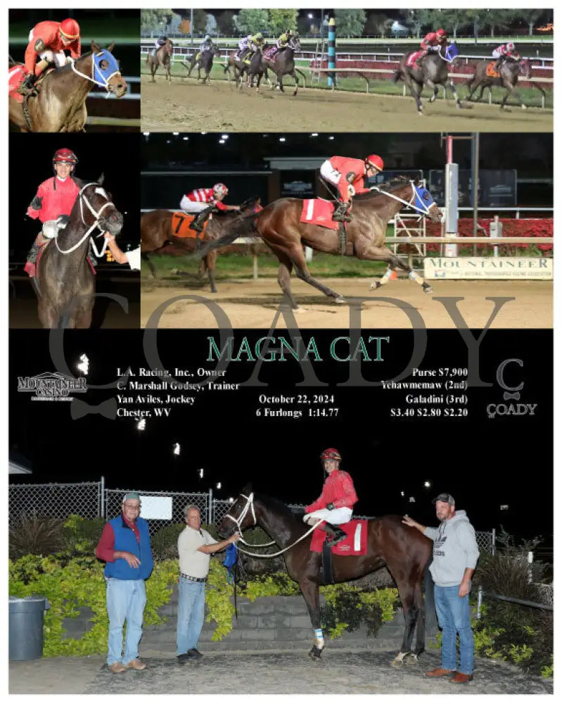 Magna Cat - 10-22-24 R04 Mnr Mountaineer Park