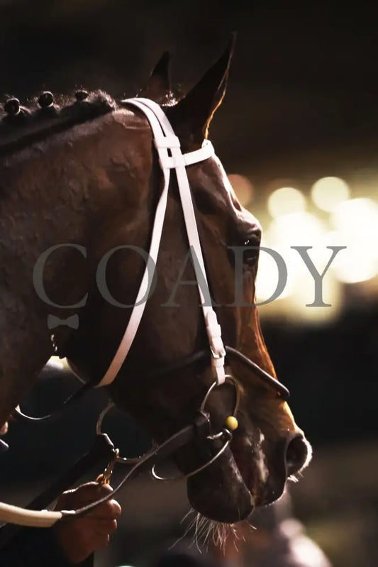 MAGNITUDE - The Clark G2 - 11-28-25 - R11 - CD - Comeback 04 - Coady Media - Kurtis Coady Photography