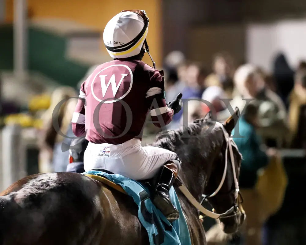 MAGNITUDE - The Clark G2 - 11-28-25 - R11 - CD - Comeback 06 - Coady Media - Kurtis Coady Photography