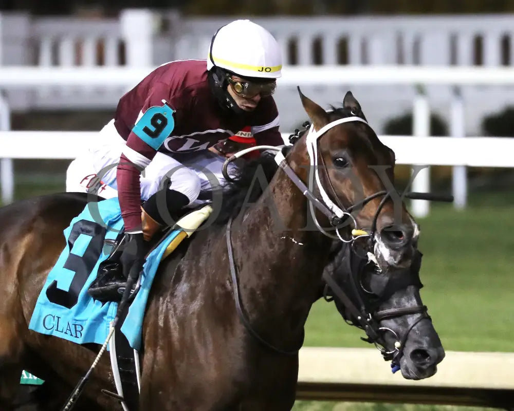 MAGNITUDE - The Clark G2 - 11-28-25 - R11 - CD - Finish 03 - Coady Media - Kurtis Coady Photography