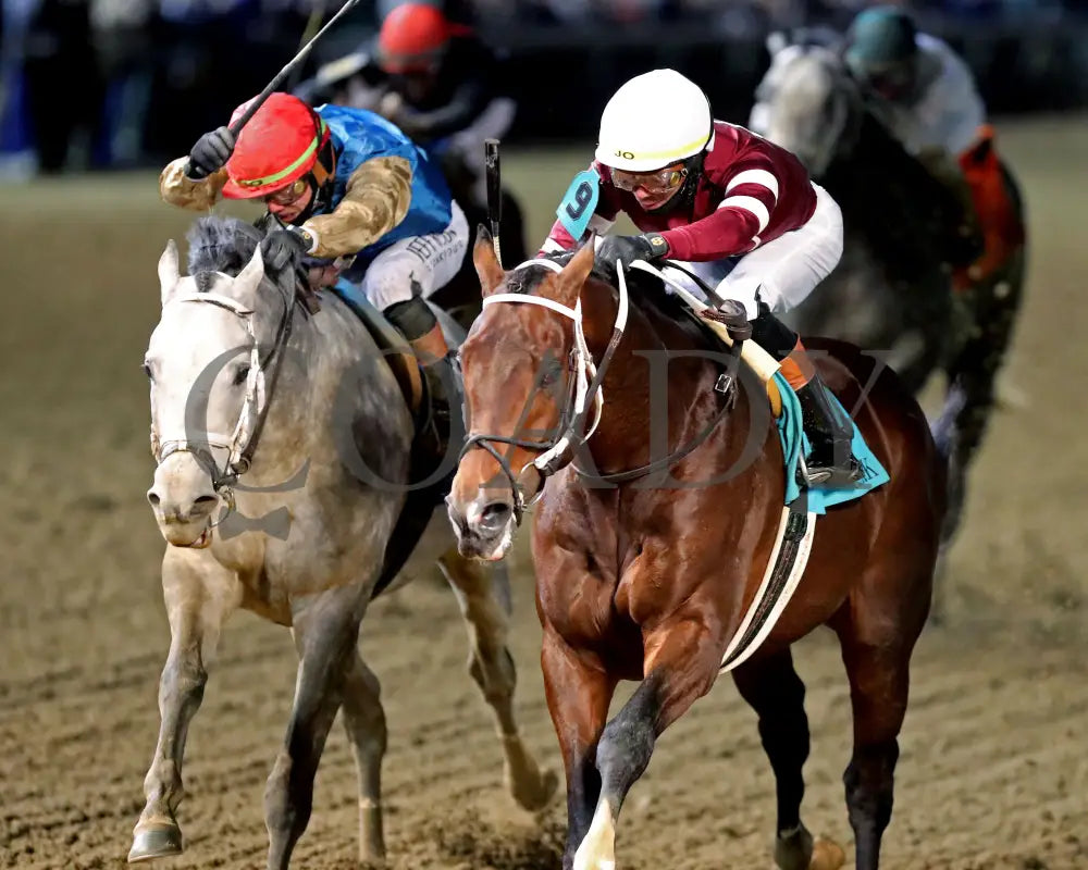 MAGNITUDE - The Clark G2 - 11-28-25 - R11 - CD - Inside Finish 01 - Coady Media - Kurtis Coady Photography