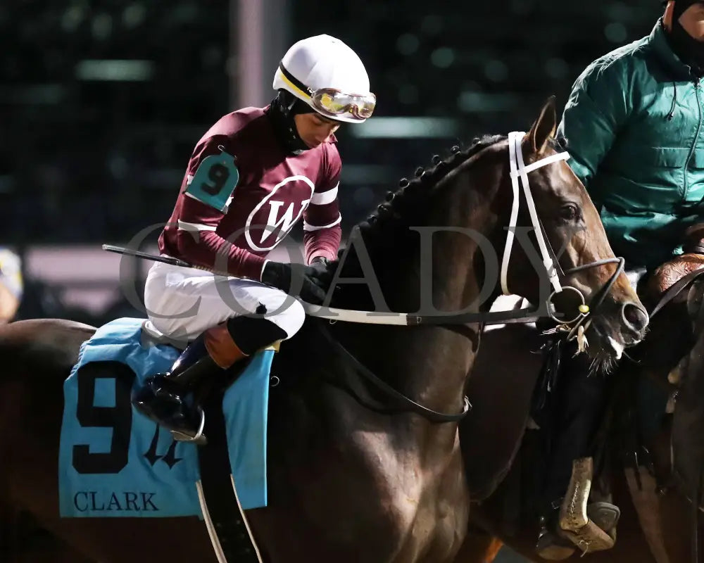 MAGNITUDE - The Clark G2 - 11-28-25 - R11 - CD - Post Parade 02 - Coady Media - Kurtis Coady Photography