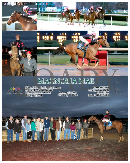 Magnolia Mae - 01-27-24 R10 Op Oaklawn Park