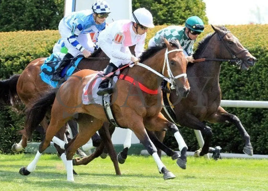 Maid On A Mission - 041512-001 Keeneland