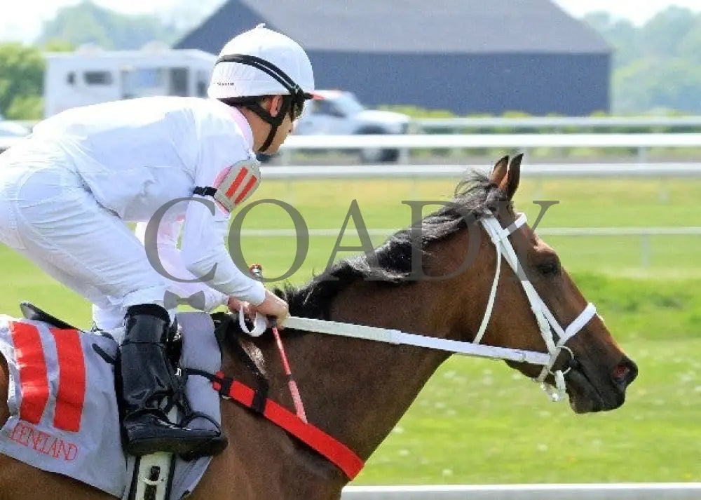 Maid On A Mission - 041512-002 Keeneland