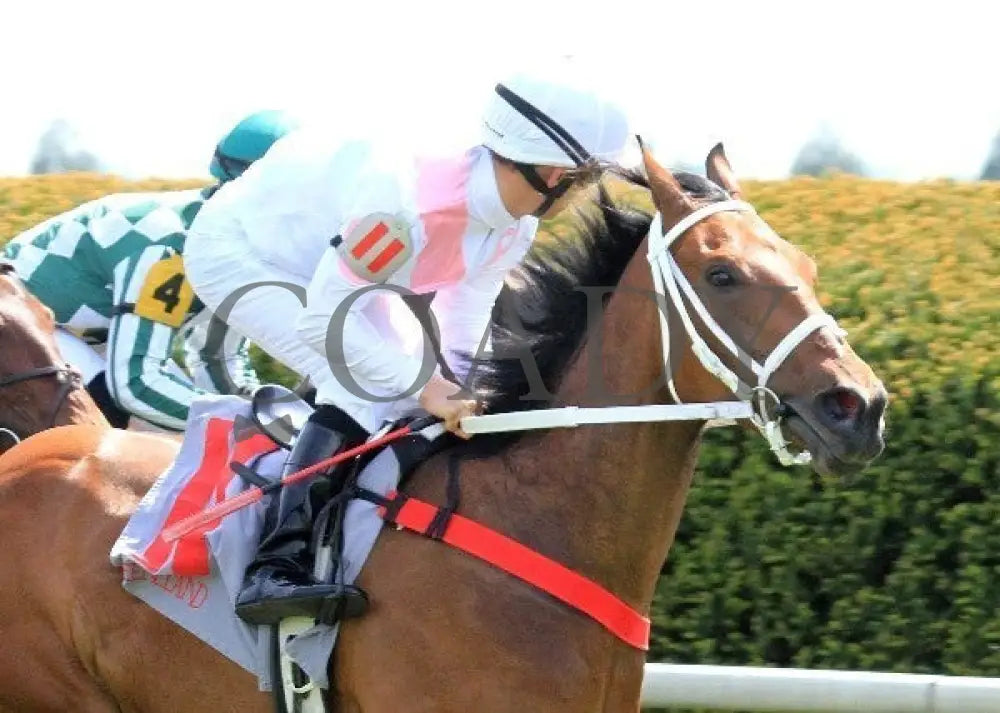 Maid On A Mission - 041512-003 Keeneland