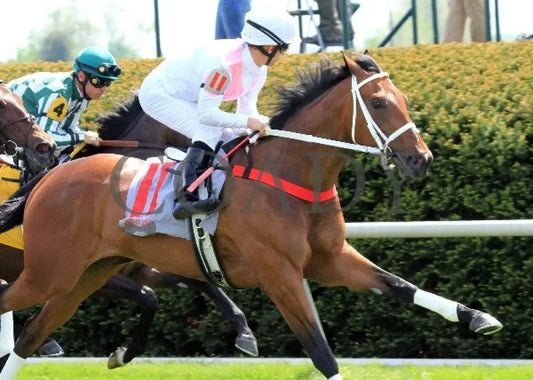 Maid On A Mission - 041512-005 Keeneland