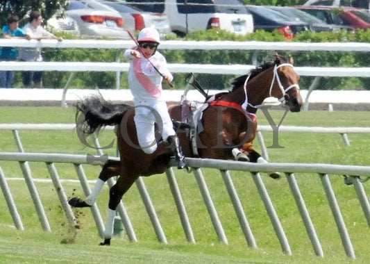 Maid On A Mission - 041512-006 Keeneland