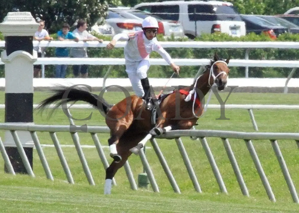 Maid On A Mission - 041512-007 Keeneland