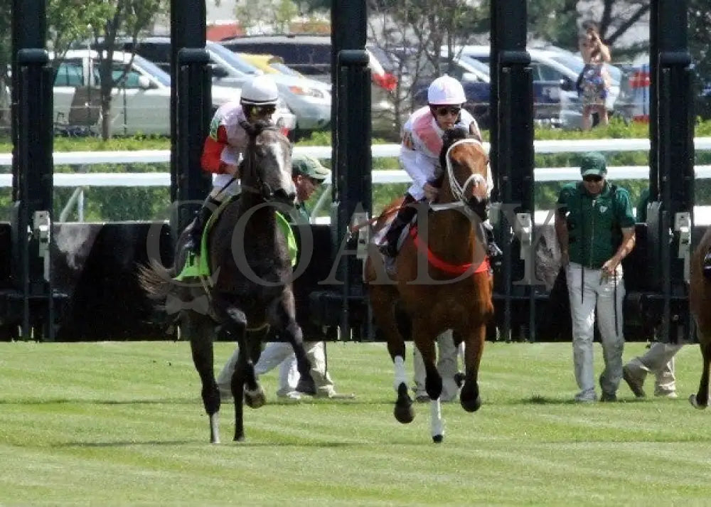 Maid On A Mission - 041512-008 Keeneland