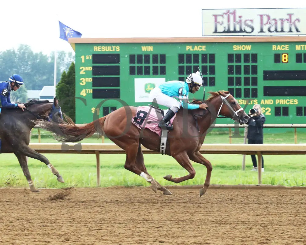 Majestic Affair - 072218 Race 08 Elp Finish 01 Ellis Park