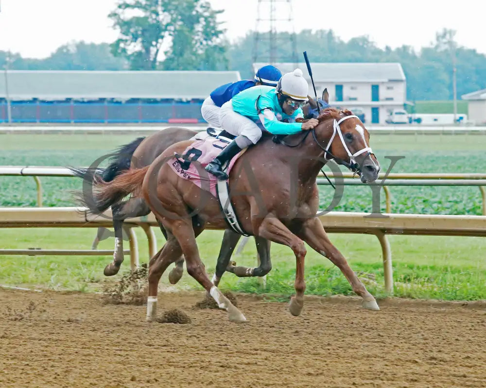 Majestic Affair - 072218 Race 08 Elp Finish 02 Ellis Park