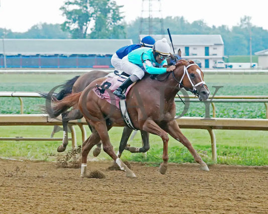 Majestic Affair - 072218 Race 08 Elp Finish 02 Ellis Park