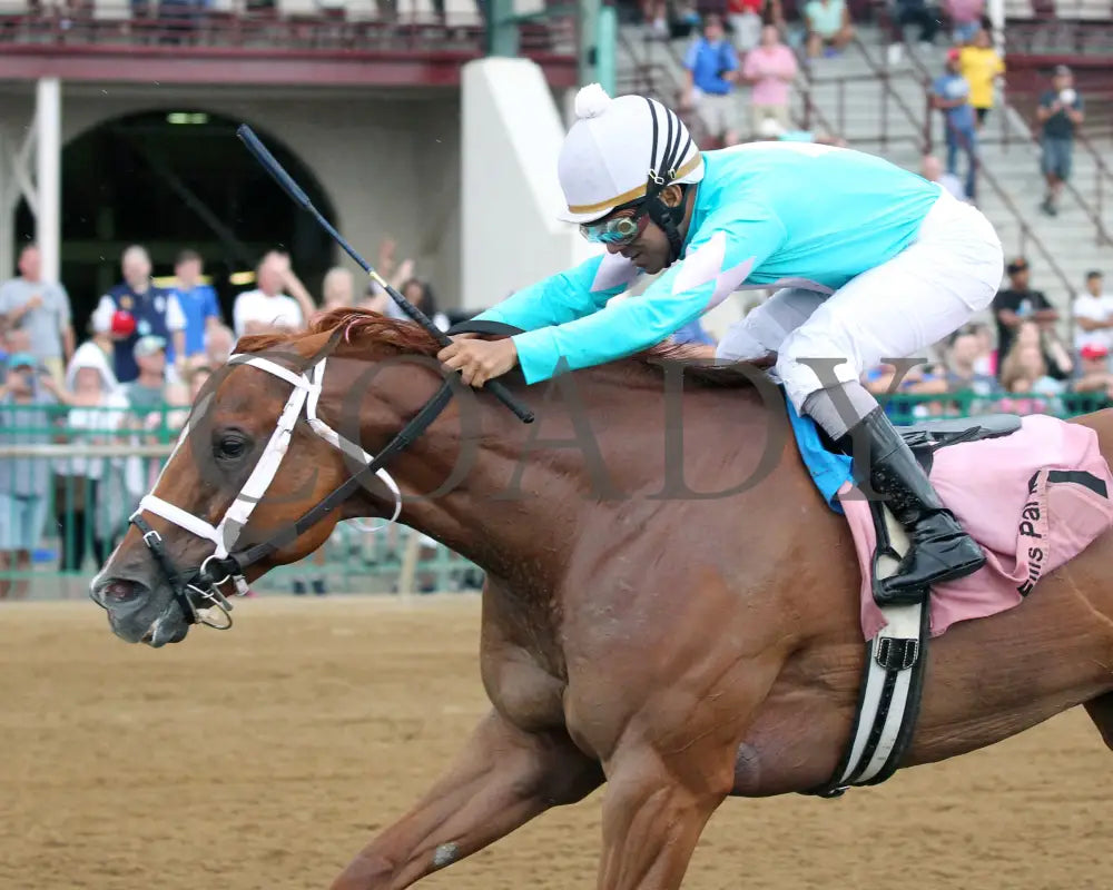 Majestic Affair - 072218 Race 08 Elp Inside Finish 01 Ellis Park