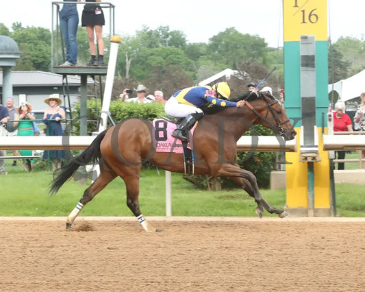 MAJESTIC OOPS - The Dig A Diamond Stakes - 04-26-25 - R10 - OP - Finish 01 Oaklawn Park