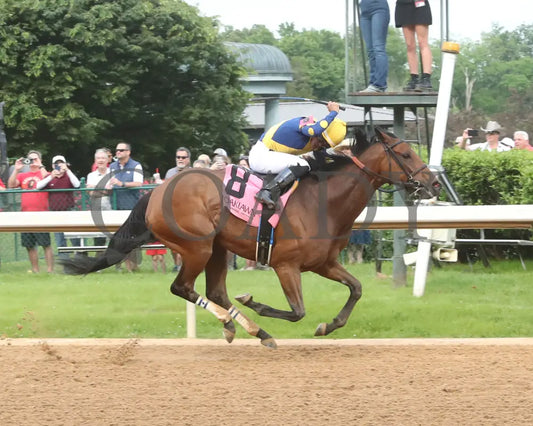 MAJESTIC OOPS - The Dig A Diamond Stakes - 04-26-25 - R10 - OP - Finish 02 Oaklawn Park