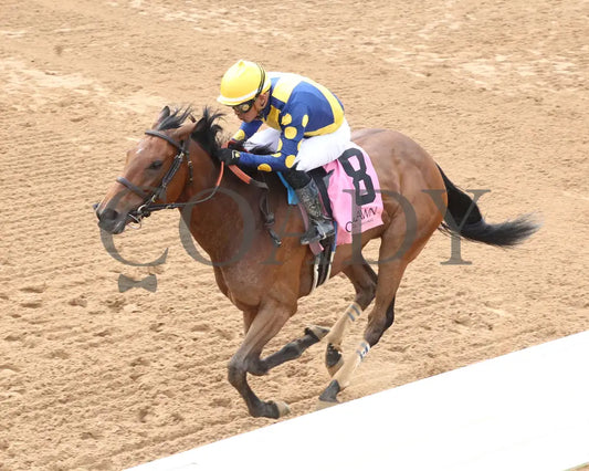 MAJESTIC OOPS - The Dig A Diamond Stakes - 04-26-25 - R10 - OP - Inside Finish 01 Oaklawn Park