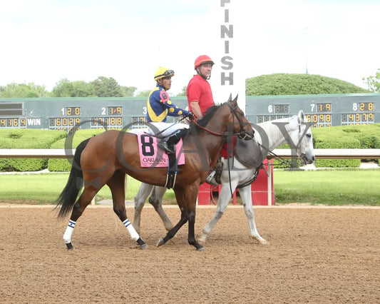 MAJESTIC OOPS - The Dig A Diamond Stakes - 04-26-25 - R10 - OP - Post Parade 01 Oaklawn Park