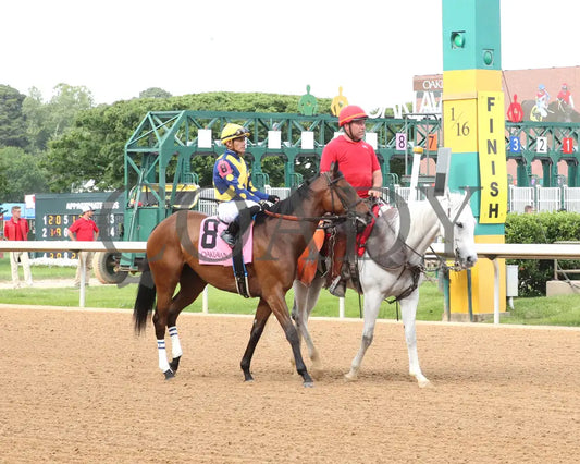 MAJESTIC OOPS - The Dig A Diamond Stakes - 04-26-25 - R10 - OP - Post Parade 02 Oaklawn Park