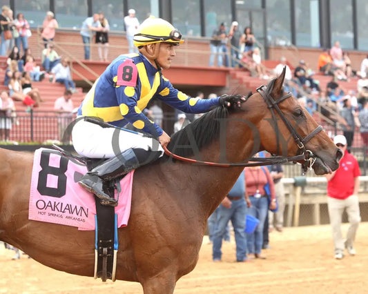 MAJESTIC OOPS - The Dig A Diamond Stakes - 04-26-25 - R10 - OP - Post Race 01 Oaklawn Park