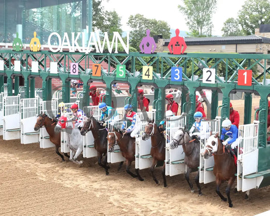 MAJESTIC OOPS - The Dig A Diamond Stakes - 04-26-25 - R10 - OP - Start 01 Oaklawn Park