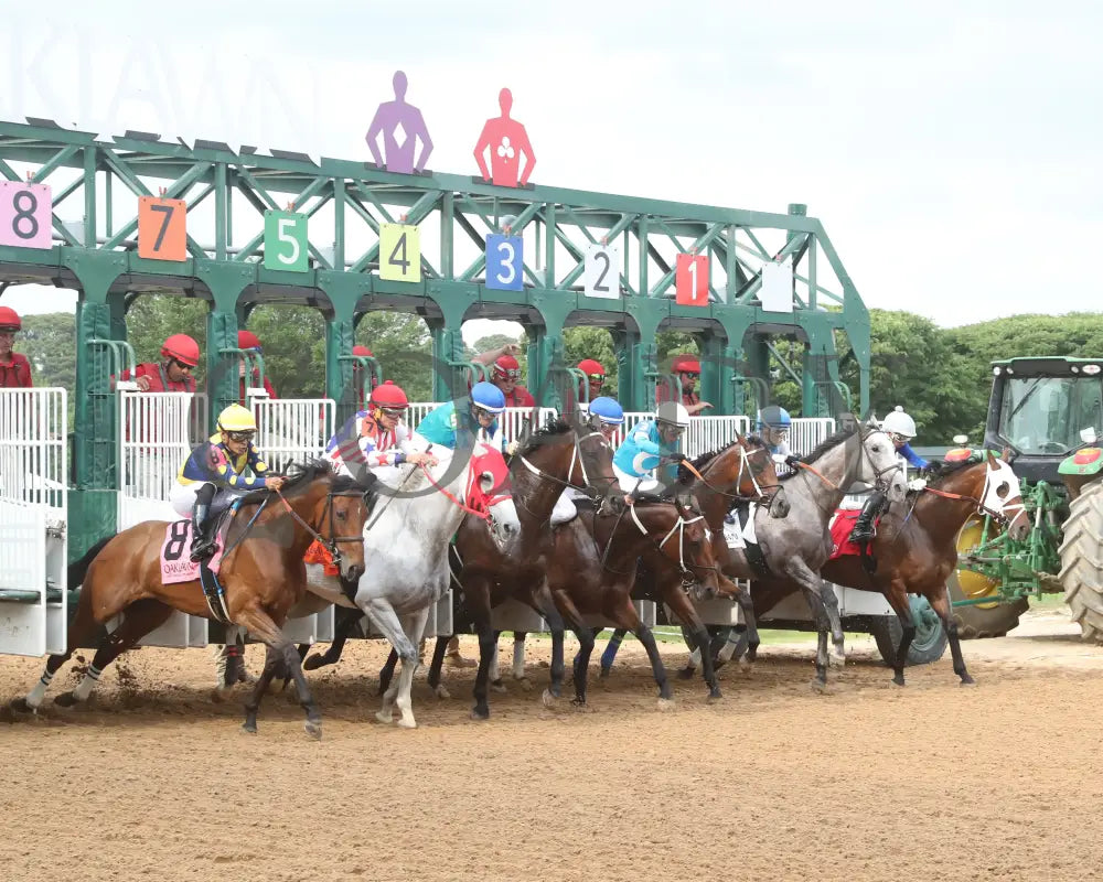 MAJESTIC OOPS - The Dig A Diamond Stakes - 04-26-25 - R10 - OP - Start 02 Oaklawn Park