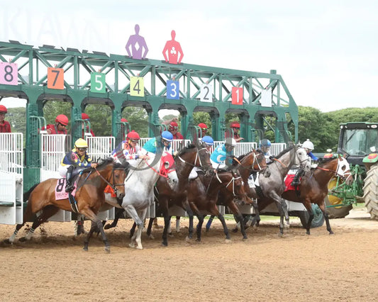 MAJESTIC OOPS - The Dig A Diamond Stakes - 04-26-25 - R10 - OP - Start 02 Oaklawn Park