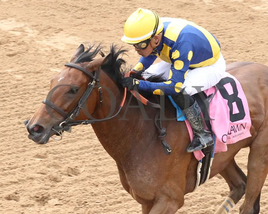 MAJESTIC OOPS - The Dig A Diamond Stakes - 04-26-25 - R10 - OP - Tight Inside 01 Oaklawn Park